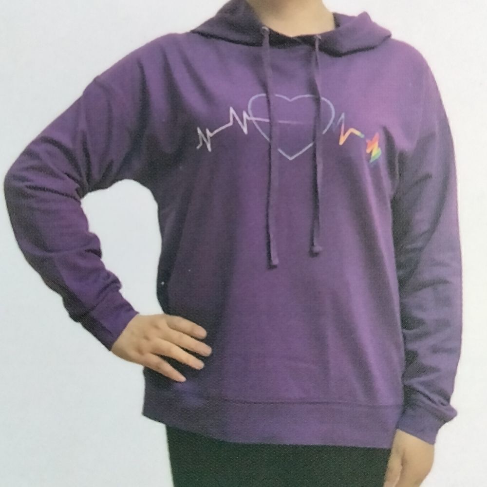 NWT Lightweight Pride Hoodie